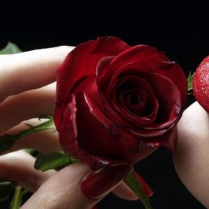 Meet your Posher, Felipa